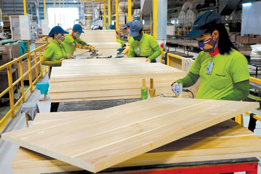 Việt Nam: Ngành gỗ tìm hướng xuất khẩu mới