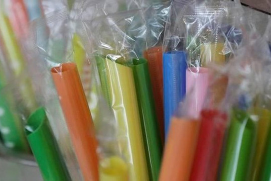 Canada: TP Vancouver cấm ống hút nhựa và túi nilon sử dụng một lần từ năm 2020