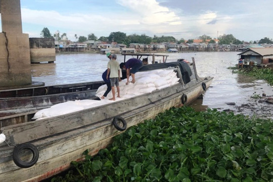 An Giang: Triệt phá đường dây buôn lậu đường cát trắng từ Campuchia về Việt Nam