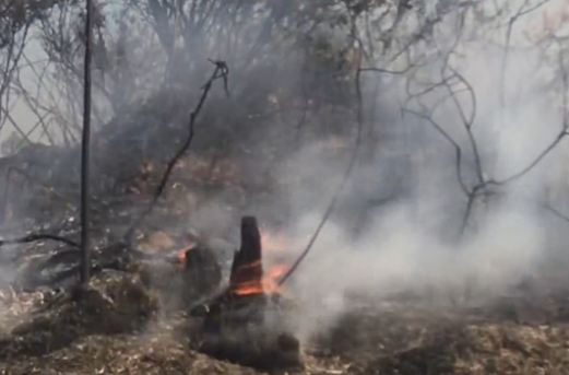 Cháy rừng phòng hộ ở Quảng Ninh, thiệt hại khoảng 30ha rừng thông và keo