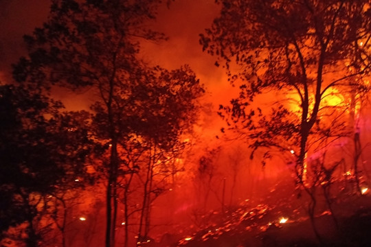 Bắc Giang: Xảy ra cháy rừng trên diện rộng, thiệt hại hàng trăm héc ta