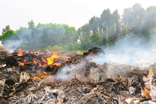Bắc Ninh: Khói rác huỷ hoại môi trường sống