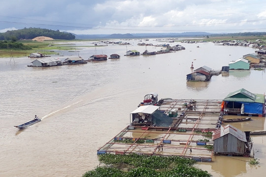 Báo động gia tăng ô nhiễm nước mặt hệ thống sông Đồng Nai