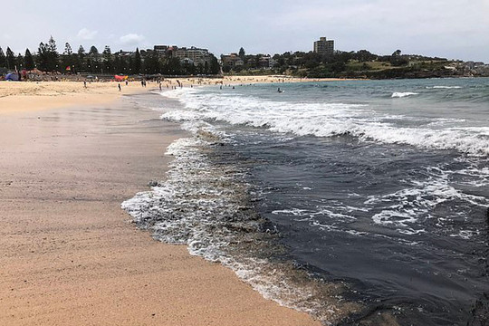 Australia: Lo ngại về vấn đề môi trường khi biển chuyển màu đen kịt do thảm hoạ cháy rừng