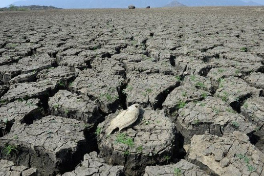 Biến đổi khí hậu: Việt Nam chịu thiệt hại nặng nề nhất trong 20 năm qua