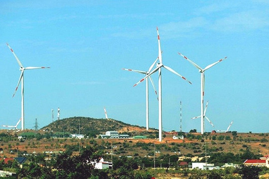 Điện gió ngoài khơi: Kỳ vọng mới trong phát triển năng lượng tái tạo tại Việt Nam