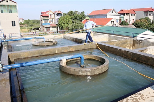 Giải ‘cơn khát’ nước sạch cho hàng ngàn hộ dân nông thôn