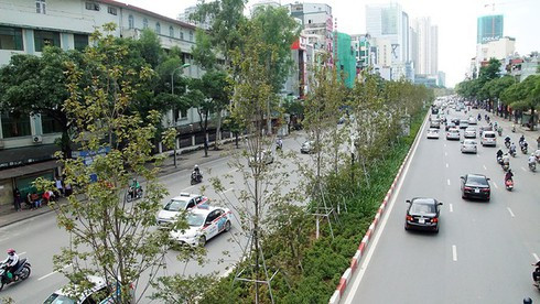 Hà Nội sẽ hoàn thành mục tiêu trồng thêm 600 nghìn cây xanh vào năm 2020