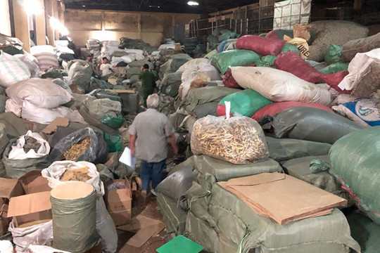 TP.HCM: Bắt giữ hàng chục tấn nguyên liệu thuốc bắc nhập lậu