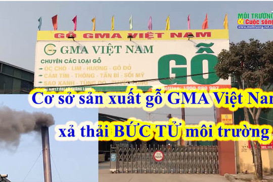 Quốc Oai (Hà Nội) – Bài 1: Cơ sở chế biến gỗ GMA Việt Nam xả khói đen “bức tử” người dân