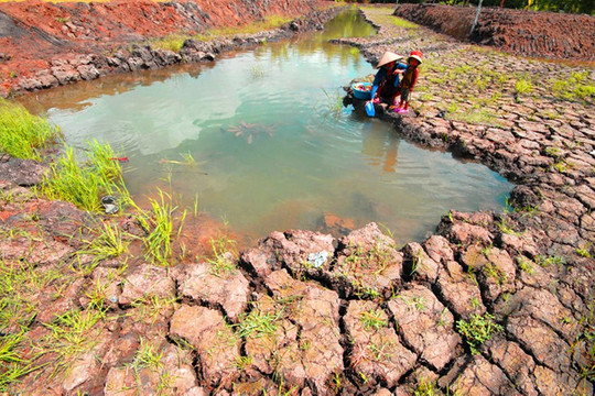 Biến đổi khí hậu: Việt Nam nằm trong 6 nước chịu thiệt hại nặng nề