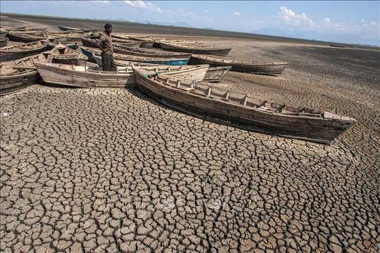 Châu Phi ứng phó với biến đổi khí hậu