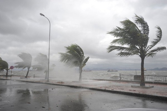 Tin bão mới nhất: Bão trên biển Đông sẽ xuất hiện trong dịp Tết dương lịch