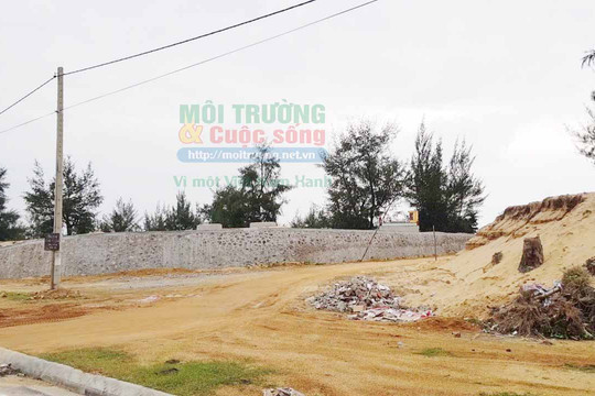 Vụ Dự án Green Resort chặt phá rừng phòng hộ làm đường trái phép: Cơ quan chức năng vào cuộc xử lý Công ty Kim Tự Tháp