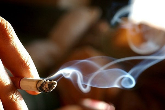 WHO: Lần đầu tiên trong hơn hai thập kỷ, số người hút thuốc lá giảm