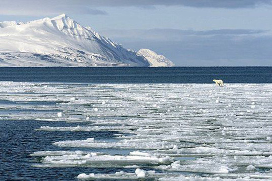 Băng biển Bắc Cực có thể biến mất sớm hơn do sự nóng lên toàn cầu