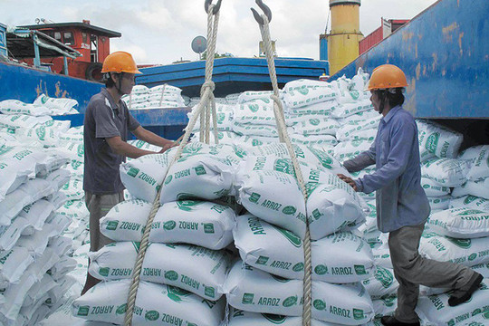 Kết thúc một năm trầm lắng của xuất khẩu gạo