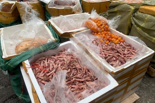 Hà Nội: Phát hiện gần 5 tấn nội tạng thối trong container của siêu thị Mega Market
