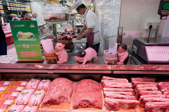 Trung Quốc tạm ngừng nhập khẩu lợn và thịt lợn Indonesia do dịch tả lợn châu Phi