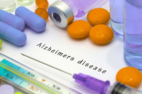 Trung Quốc: Tự điều chế thuốc điều trị Alzheimer từ tảo nâu