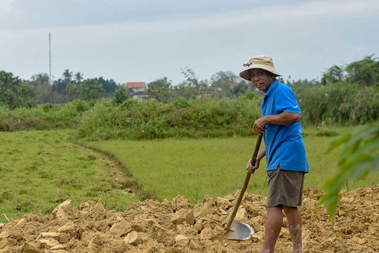 Thừa Thiên – Huế: Chống hạn giữa mùa mưa