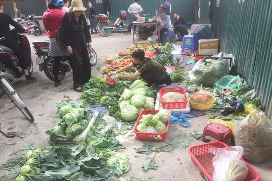 Ngăn chặn thực phẩm “bẩn” đổ bộ về Thủ đô dịp Tết Canh Tý