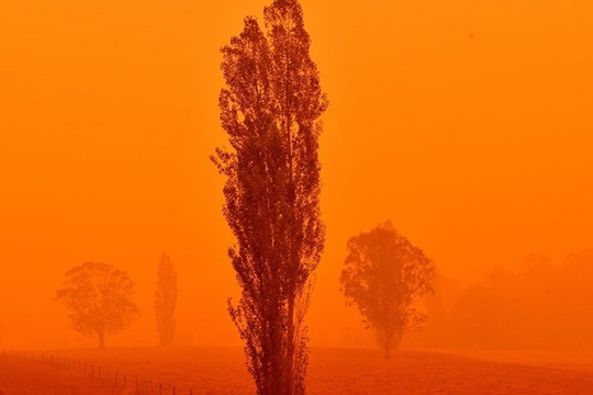 Bầu trời Australia đỏ như máu vì những đám cháy rừng