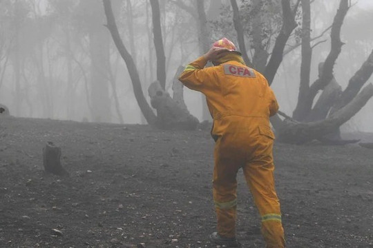 Mưa giúp làm dịu cháy rừng thảm khốc tại Australia