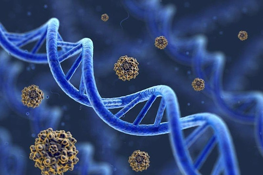 Mỹ: Thử nghiệm chỉnh sửa ADN chữa bệnh đột biến gene