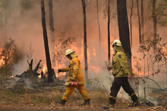 WMO khẳng định: Biến đổi khí hậu là nguyên nhân gây cháy rừng ở Australia