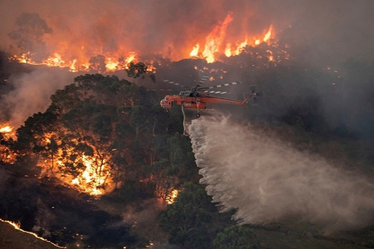 Cháy rừng ở Australia thải 370 triệu tấn khí carbon, ngang cháy rừng Amazon