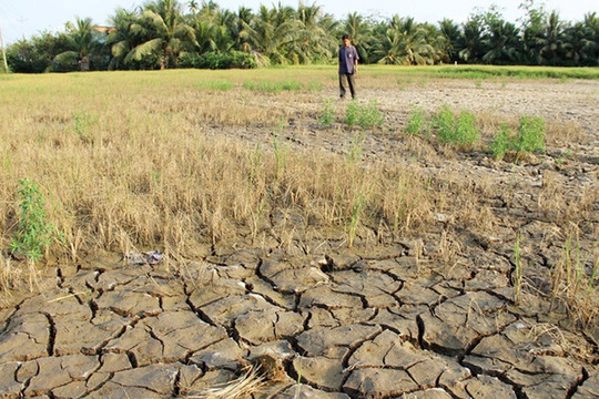 [Infographic] Giải pháp phòng, chống hạn mặn mùa khô