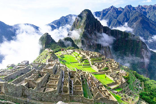 Peru trồng một triệu cây xanh để bảo vệ Di sản Thế giới