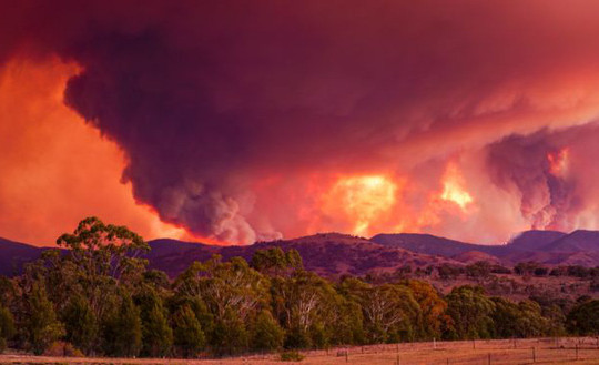 Australia ban bố tình trạng khẩn cấp do cháy rừng tại thủ đô