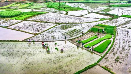 Điều chỉnh lịch lấy nước đợt 2 phục vụ gieo cấy lúa vụ Đông Xuân 2019-2020
