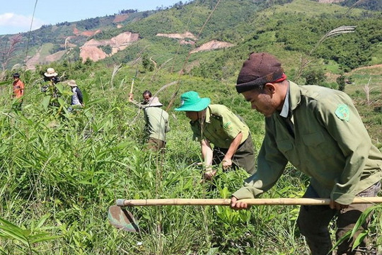 Đắk Nông: Nhiều ưu đãi, hỗ trợ bảo vệ, phát triển rừng bền vững