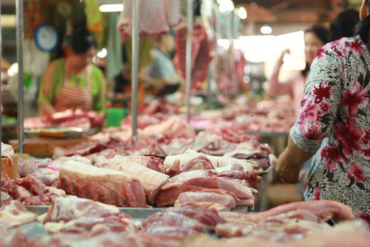 Nguồn cung tăng, giá lợn hơi bắt đầu có xu hướng giảm nhẹ
