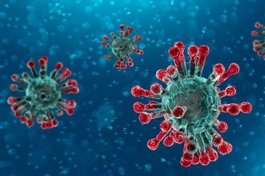 [Infographic] Một tháng dịch viêm phổi virus corona