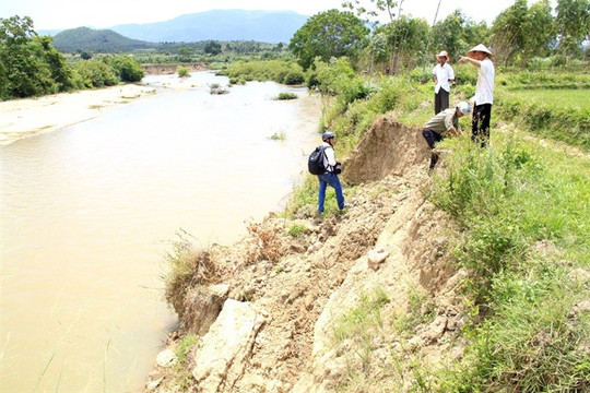 Bình Định: Đề nghị điều tiết nước thủy điện hỗ trợ chống hạn