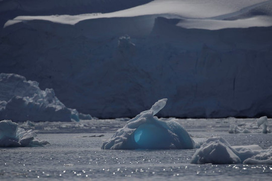 Nam Cực: Nhiệt độ lần đầu tiên tăng trên 20 độ C trong lịch sử