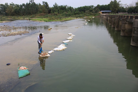 Thái Nguyên: Hàng chục bao tải chứa gia cầm chết trôi nổi tại chân đập Líp