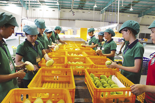 Việt Nam tăng cường hợp tác thương mại về nông nghiệp với Hoa Kỳ