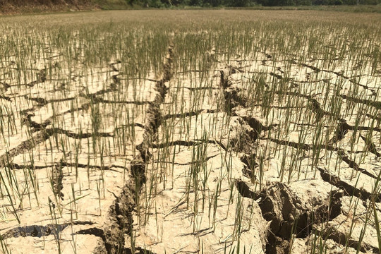 Trung Bộ có nguy cơ thiếu hụt nguồn nước và xâm nhập mặn trong mùa khô năm 2020
