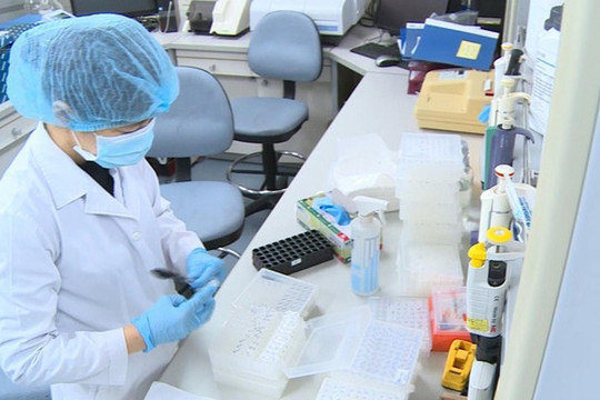 Việt Nam chính thức có 6 đơn vị được thực hiện xét nghiệm virus SARS-CoV-2