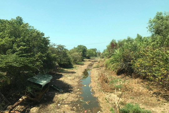 Nam Bộ: Thiếu nước do hạn mặn bủa vây