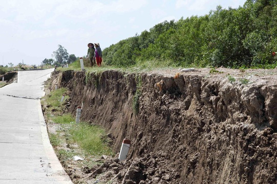 Cà Mau: Đào kênh trữ nước khắc phục sự cố sụt lún tuyến đê biển Tây