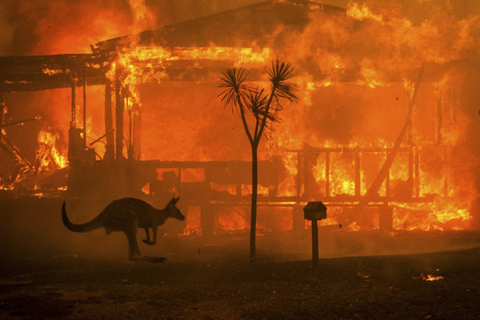Australia: Biến đổi khí hậu làm tăng 30% nguy cơ cháy rừng