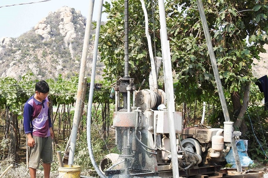 Ninh Thuận: Người dân khoan giếng sâu 100m tìm nước tưới cây