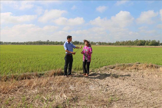 Trà Vinh hỗ trợ nông dân hơn 4 tỷ đồng chống hạn, mặn