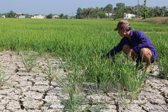 UNDP viện trợ hơn 30 triệu USD cho Việt Nam chống biến đổi khí hậu